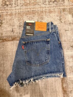 Levi's Blue Frayed Hem 501 Cutoff Shorts